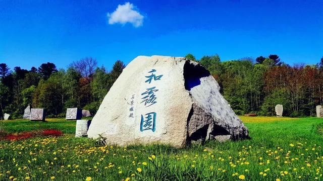 游戏开发者
