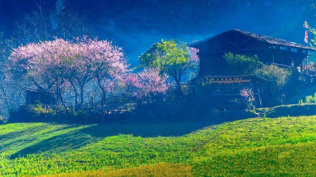 异形：隔离