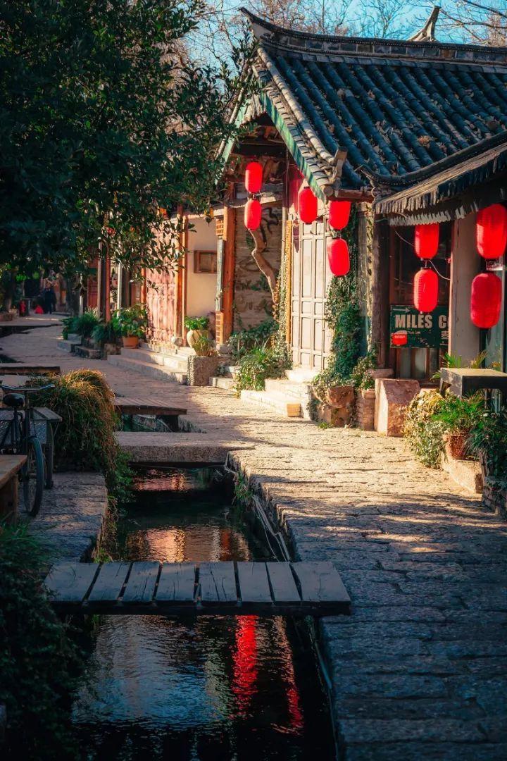 虫虫助手下载
